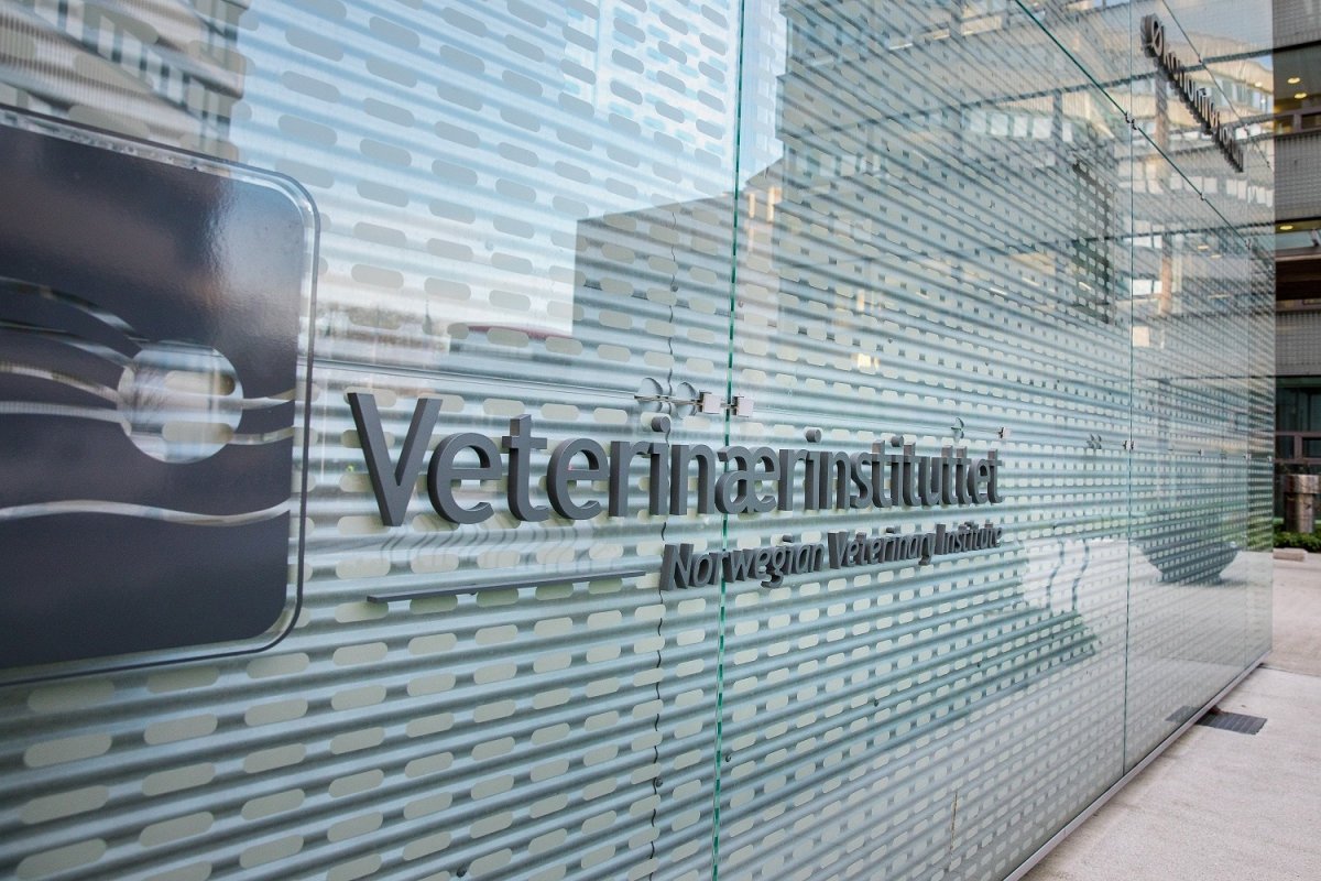 The Norwegian Veterinary Institute will examine Freya